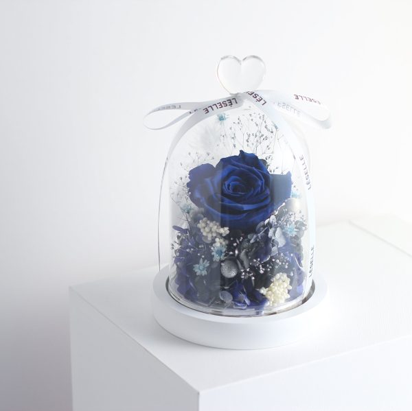 Enchanted Preserved Rose - Royal Blue - Image 4