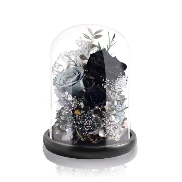 Preserved Rose Magical Bell Jar - Black / Livid