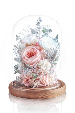 Preserved Rose Magical Bell Jar - White / Champagne
