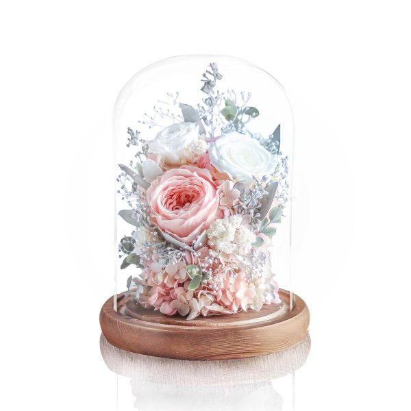 Preserved Rose Magical Bell Jar - White / Champagne
