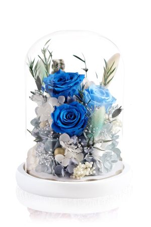 Preserved Rose Magical Bell Jar - Royal Blue / Sky Blue
