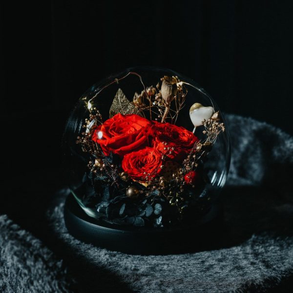 Preserved Rose Glass Ball - Classic Red - Image 2