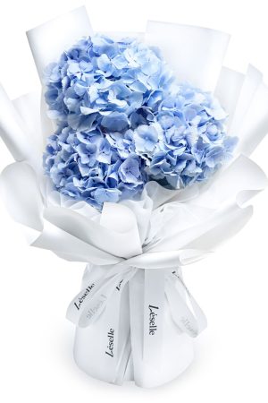 Fresh Flower Bouquet - Azure Blue Hydrangea (M)