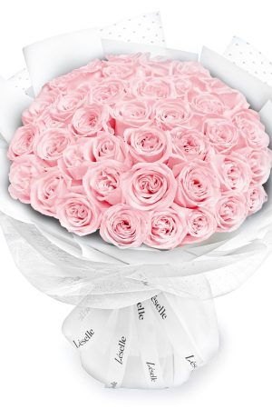 Fresh Flower Bouquet - Novia Pink Roses (White Wrapper) - 33/50/99 Roses