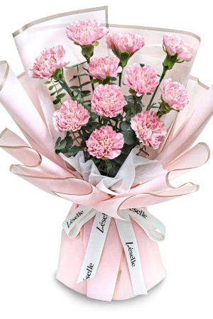 Fresh Flower Bouquet - Pale Pink Carnations