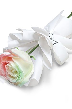 Fresh Flower Bouquet - Single Aurora Rose