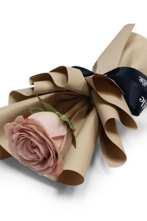 Fresh Flower Bouquet - Single Cappuccino Rose