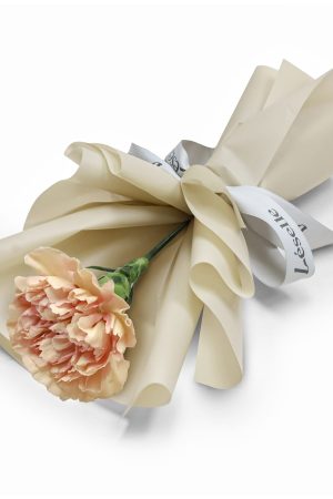 Fresh Flower Bouquet - Single Caramel Carnation
