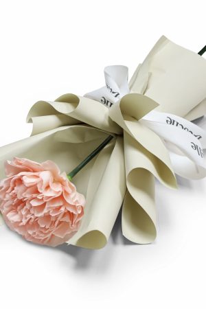 Fresh Flower Bouquet - Single Champagne Carnation