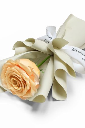 Fresh Flower Bouquet - Single Champagne Rose