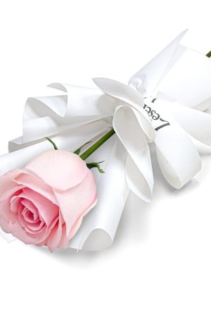 Fresh Flower Bouquet - Single Novia Pink Rose