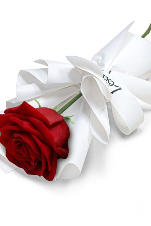 Fresh Flower Bouquet - Single Classic Red Rose (White Wrapper)