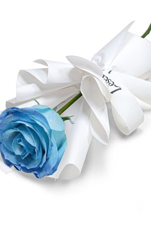Fresh Flower Bouquet - Single Sky Blue Rose