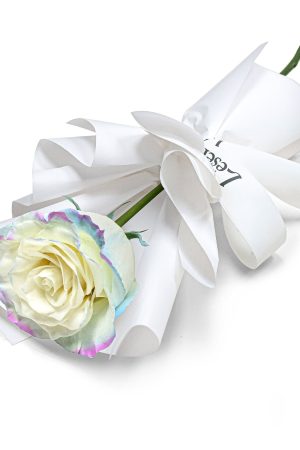 Fresh Flower Bouquet - Single Unicorn Rose