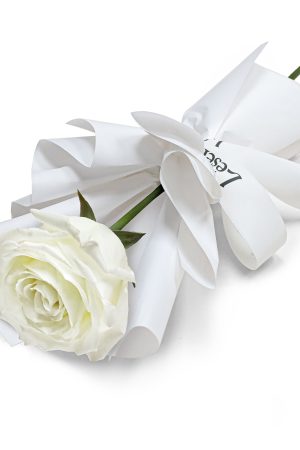 Fresh Flower Bouquet - Single Vanilla White Rose