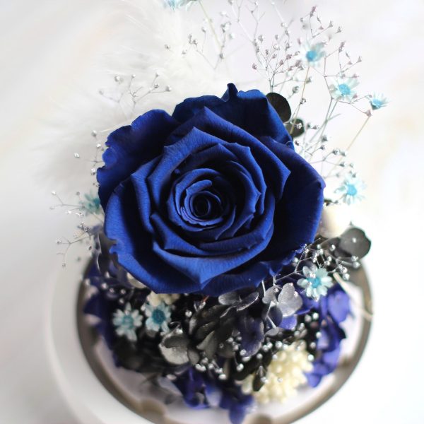 Enchanted Preserved Rose - Royal Blue - Image 3