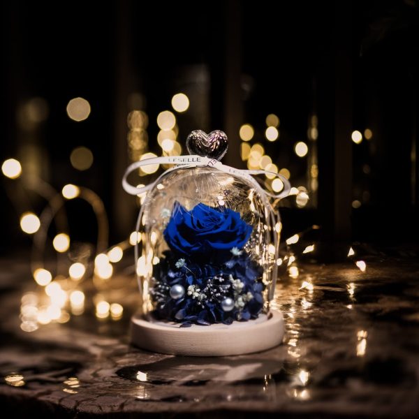 Enchanted Preserved Rose - Royal Blue - Image 2