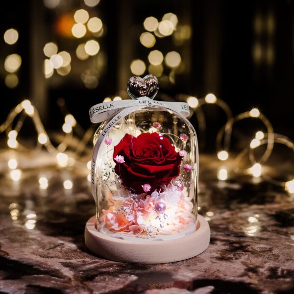 Enchanted Preserved Rose - Classic Red / Pale Pink - Image 2