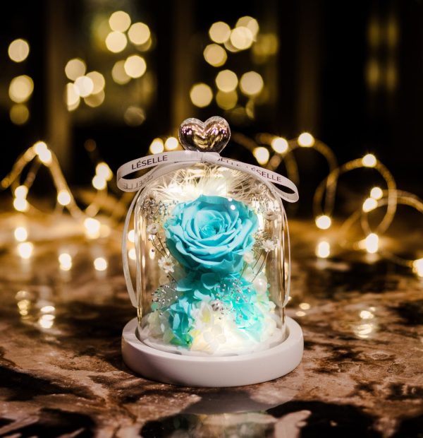 Enchanted Preserved Rose - Tiffany Blue - Image 2