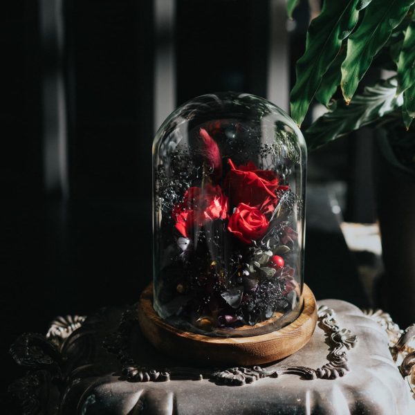Preserved Rose Magical Bell Jar - Classic Red - Image 2
