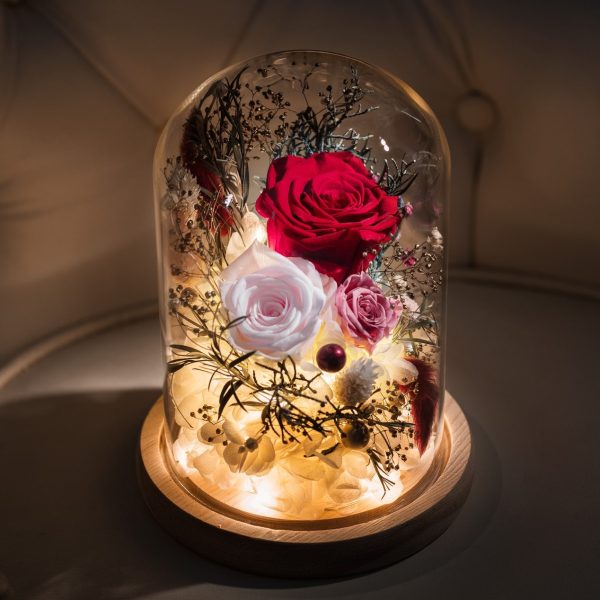 Preserved Rose Magical Bell Jar - Classic Red / Pale Pink - Image 2