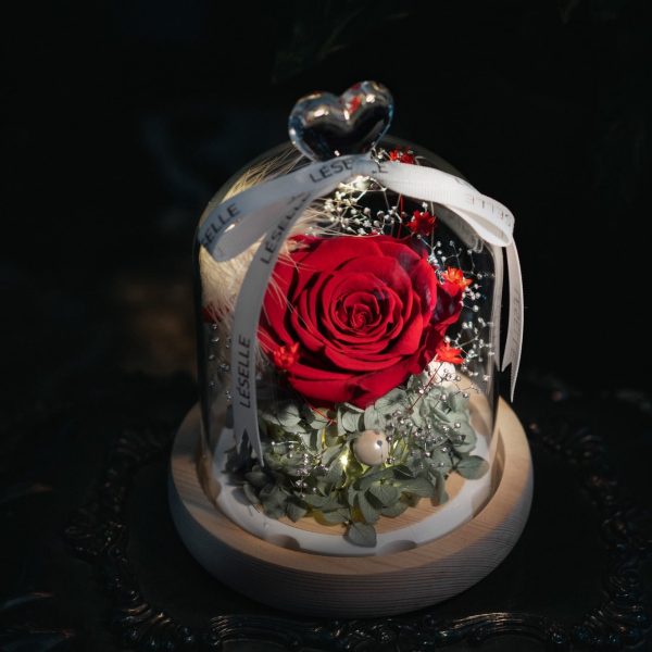 Enchanted Preserved Rose - Classic Red / Grey Green - Image 2
