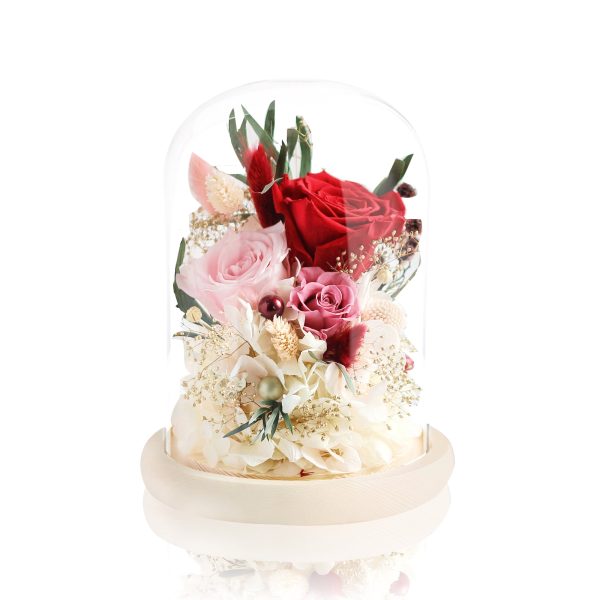 Preserved Rose Magical Bell Jar - Classic Red / Pale Pink