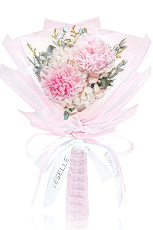 Mini Preserved Carnation Bouquet - Pale Pink