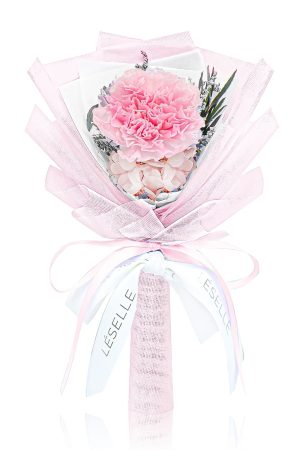 Preserved Carnation Bundle - Blush Pink