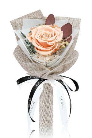 Preserved Rose Bundle - Champagne