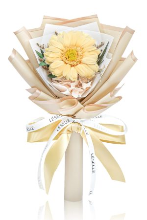 Preserved Sunflower Bundle - Champagne