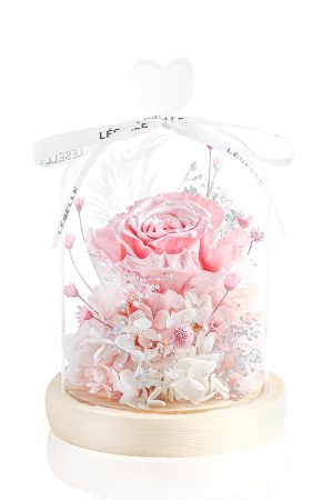 Enchanted Preserved Rose - Pearl Pink