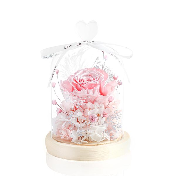 Enchanted Preserved Rose - Pearl Pink