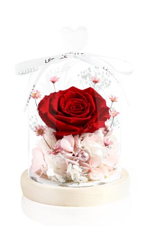Enchanted Preserved Rose - Classic Red / Pale Pink