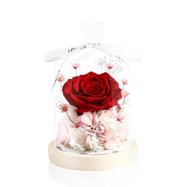Enchanted Preserved Rose - Classic Red / Pale Pink