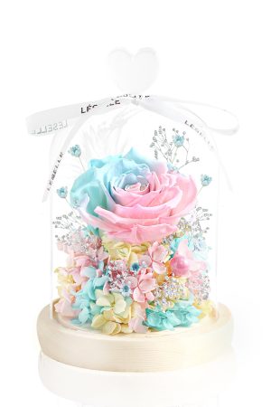 Enchanted Preserved Rose - Tiffany Blue / Baby Pink