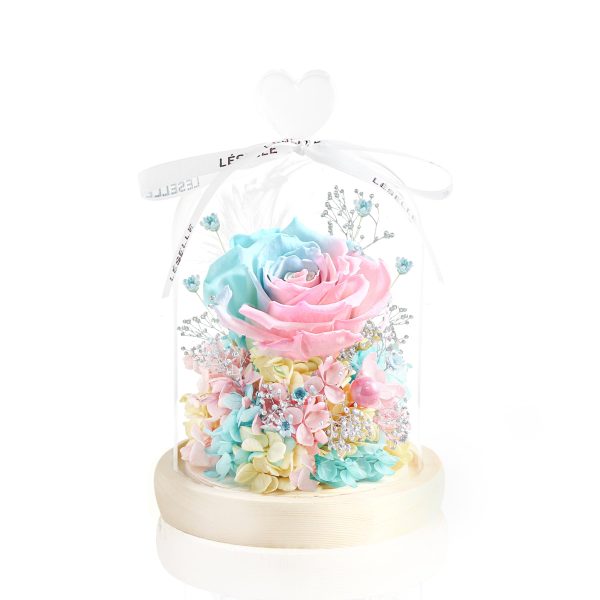 Enchanted Preserved Rose - Tiffany Blue / Baby Pink