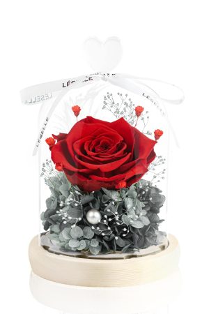 Enchanted Preserved Rose - Classic Red / Grey Green