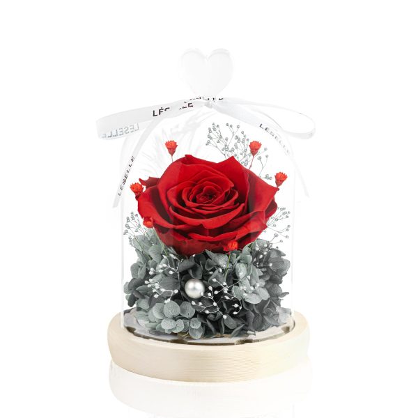 Enchanted Preserved Rose - Classic Red / Grey Green