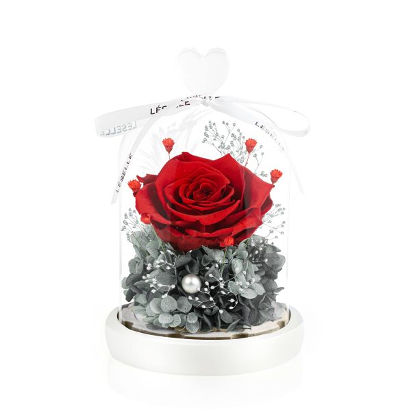 Enchanted Preserved Rose - Classic Red / Grey Green - Image 3
