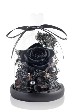 Enchanted Preserved Rose - Black
