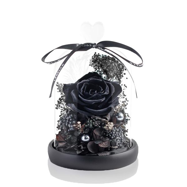 Enchanted Preserved Rose - Black