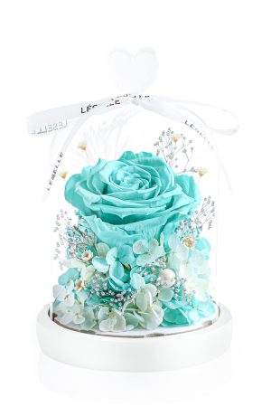 Enchanted Preserved Rose - Tiffany Blue