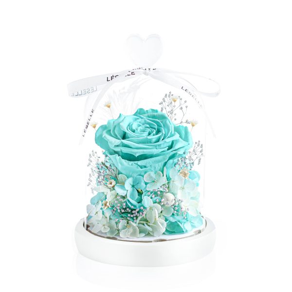Enchanted Preserved Rose - Tiffany Blue