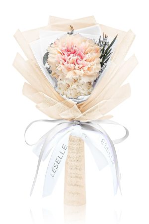 Preserved Carnation Bundle - Champagne